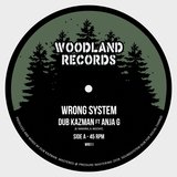 Wrong System (feat. Anja G)