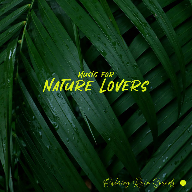 Music for Nature Lovers: Calming Rain Sounds