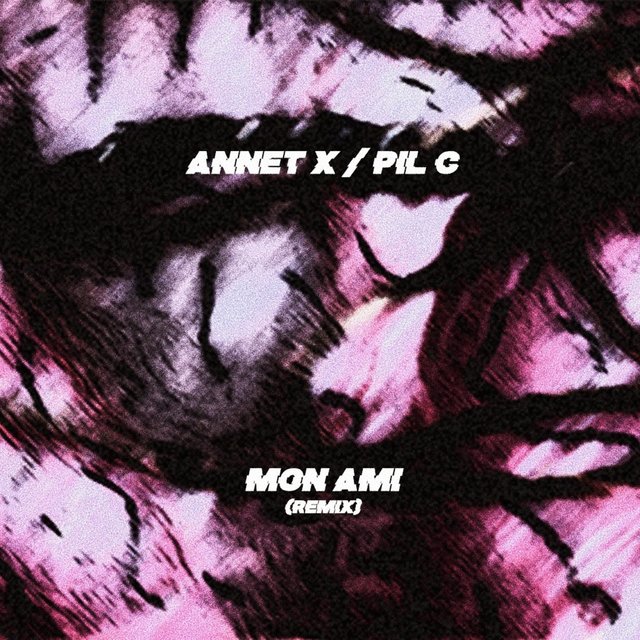 Mon Ami (feat. Pil C)