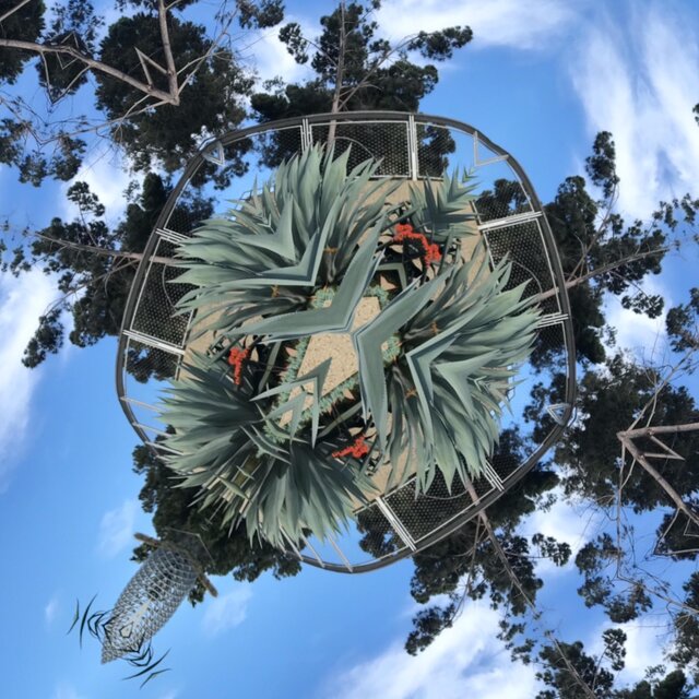 Laid in Space