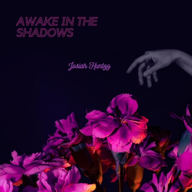 Awake In The Shadows