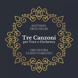 Il volo del silenzio