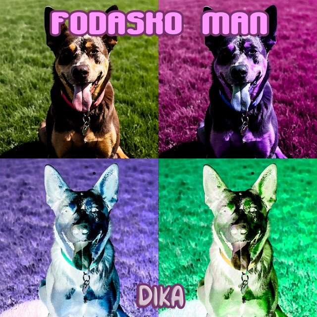 Dika