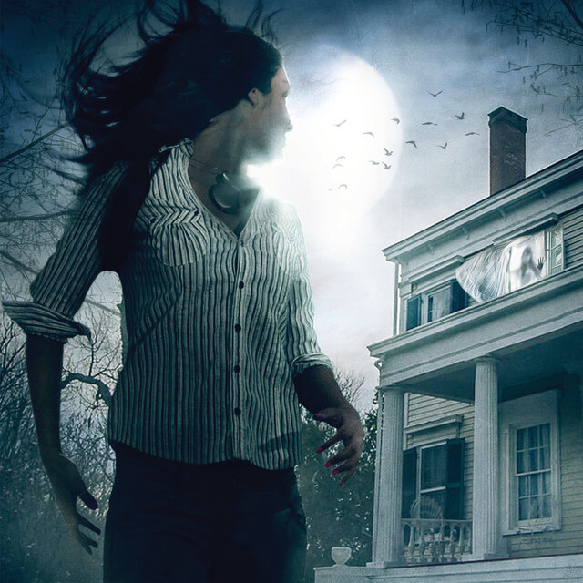 Stranger in the House (Original Motion Picture Soundtrack)
