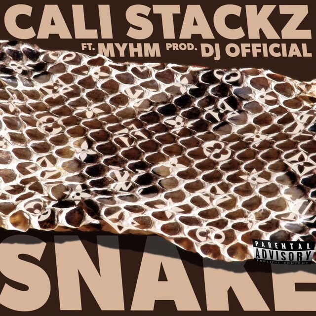 SNAKE (feat. MYHM)