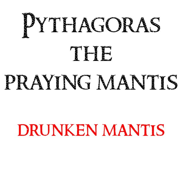 Drunken Mantis