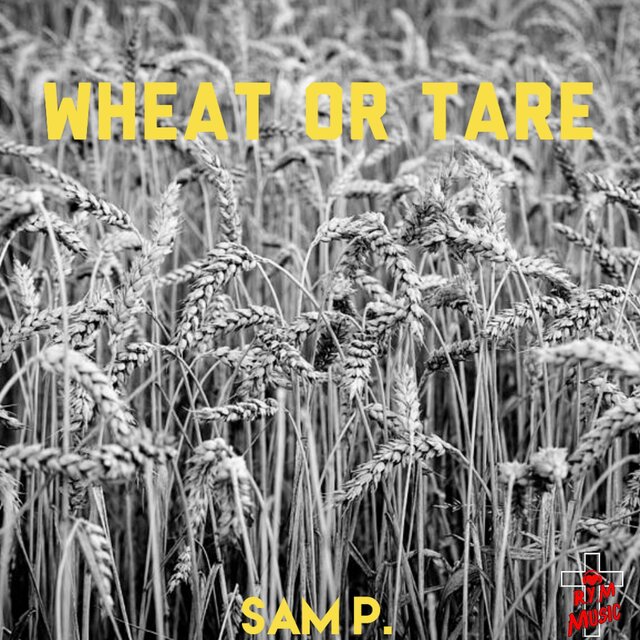 Wheat Or Tare