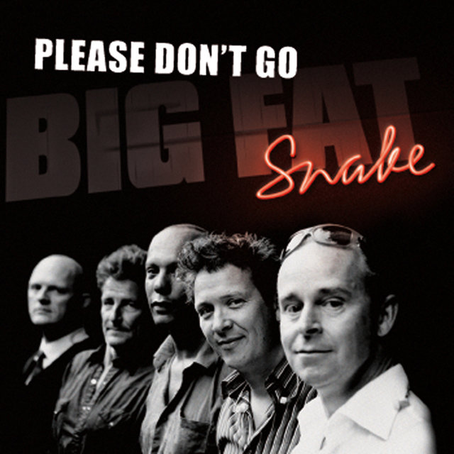 Please Don't Go