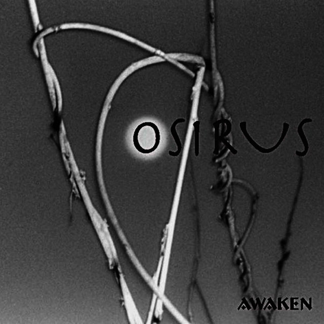 Awaken