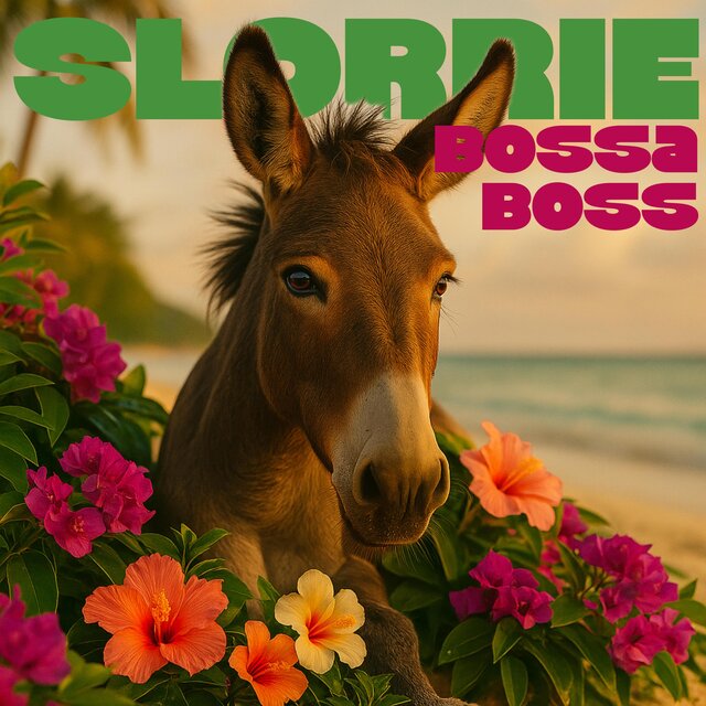 Bossa Boss