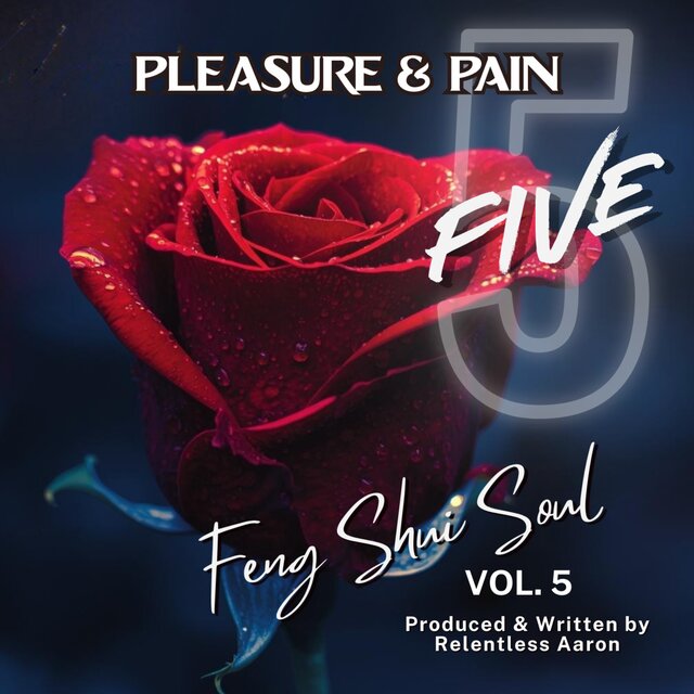Feng Shui Soul 5 - Pleasure & Pain