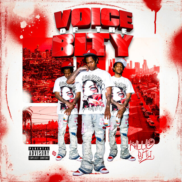 Voice Of The Bity
