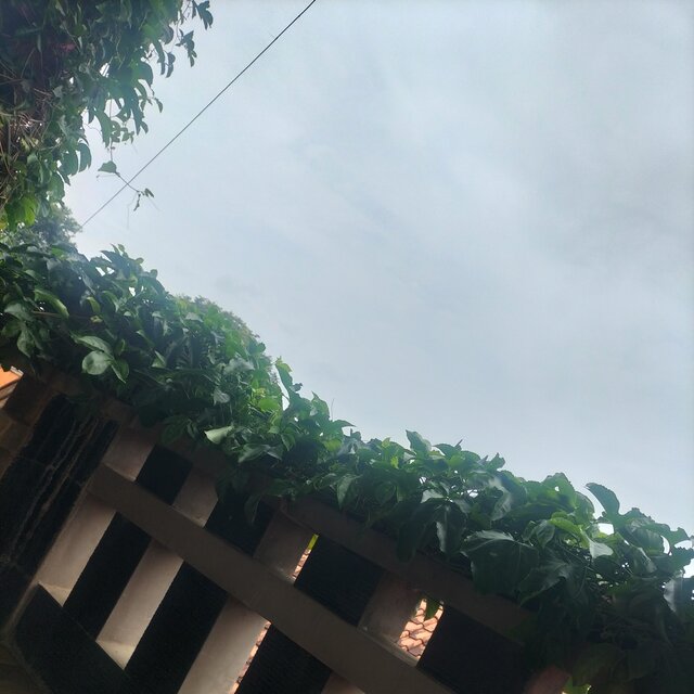 Jangankanuntukbertemu