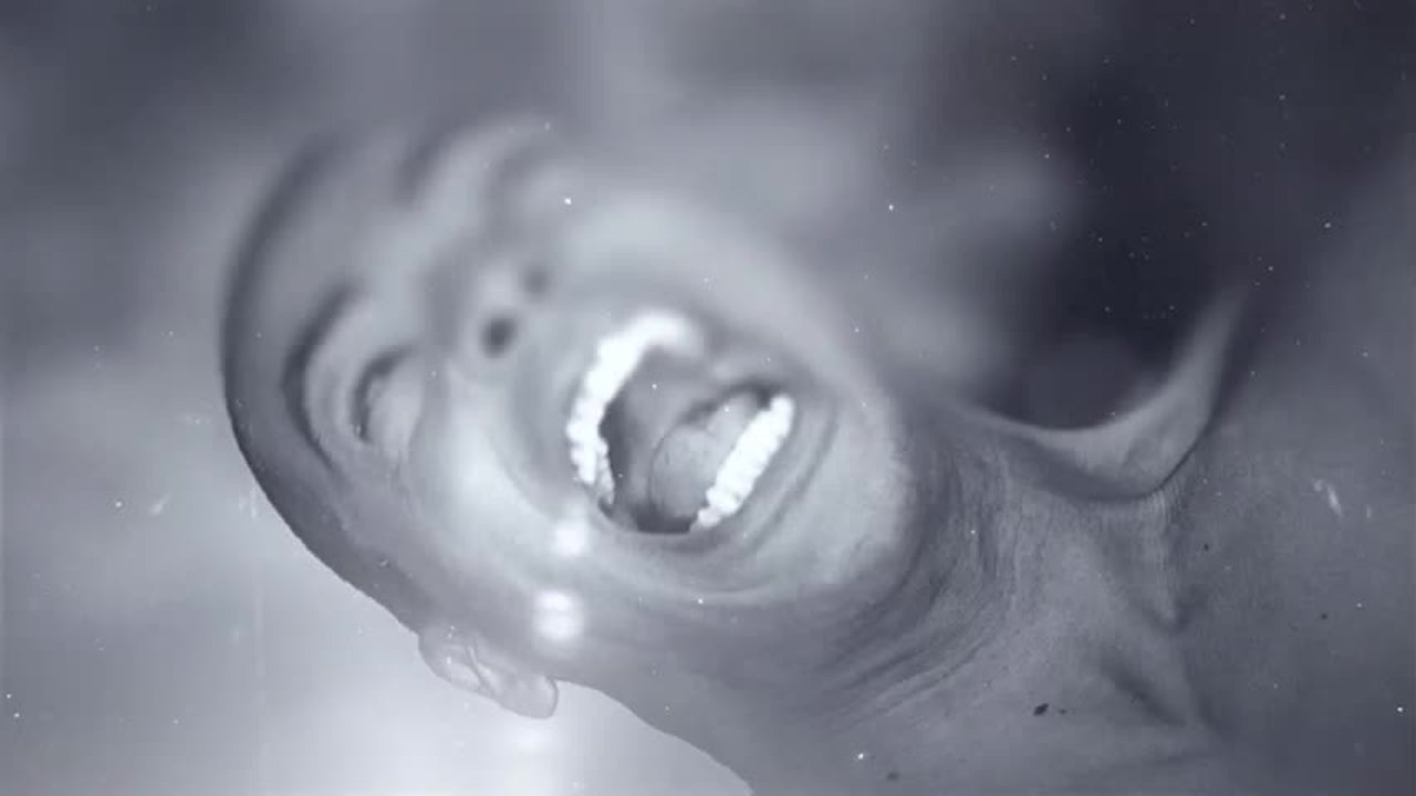 La Vida Entera (feat. Marco Antonio Solís)