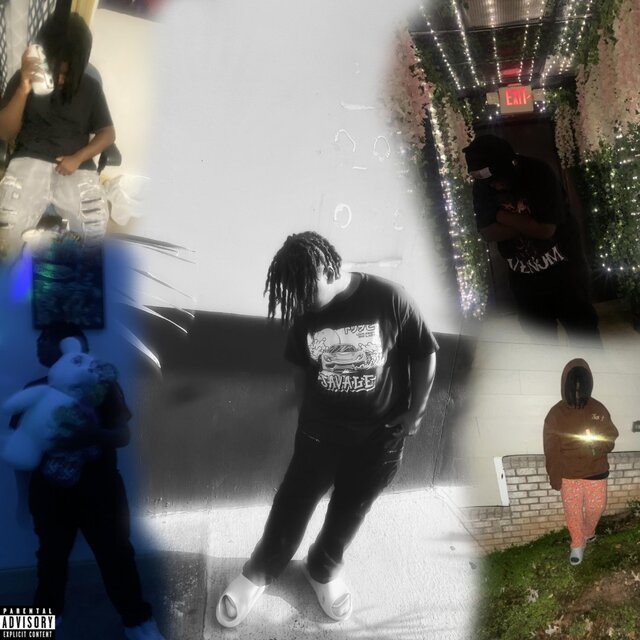Ion Diss 5