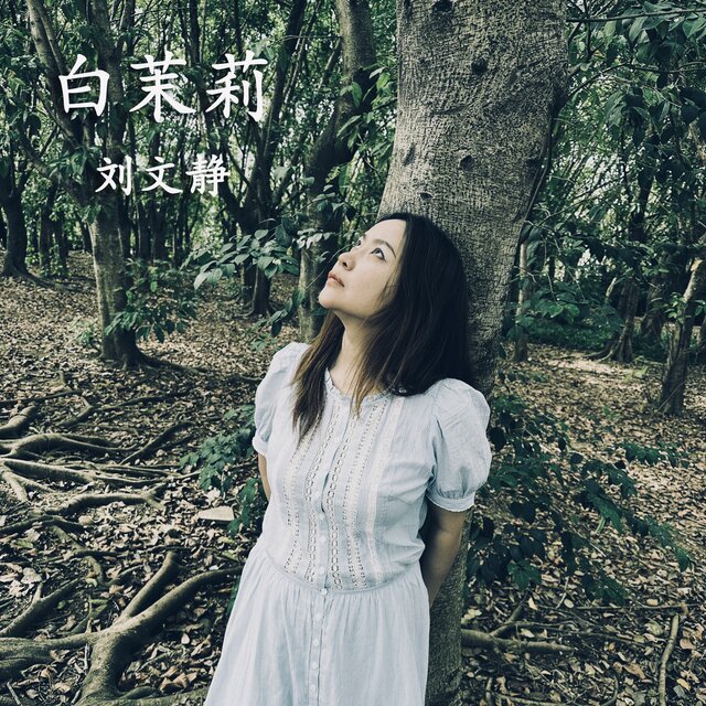 白茉莉