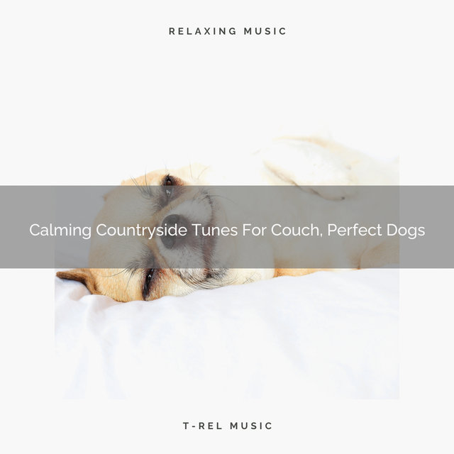 Calming Countryside Tunes For Couch, Perfect Dogs