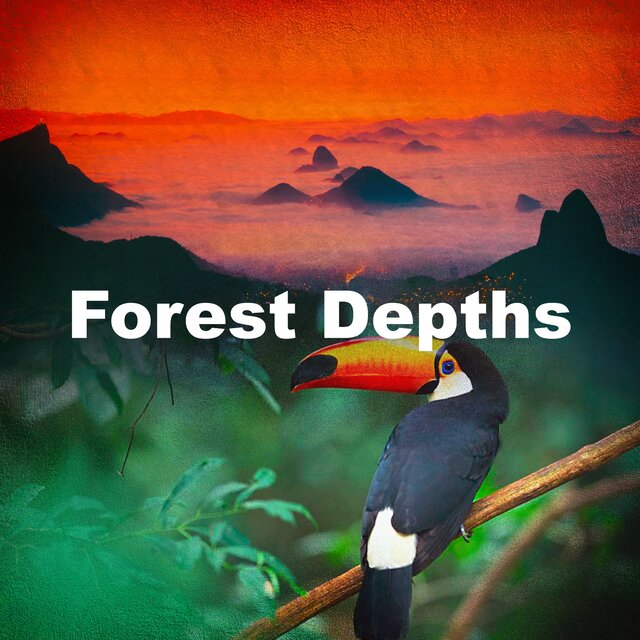 Forest Depths