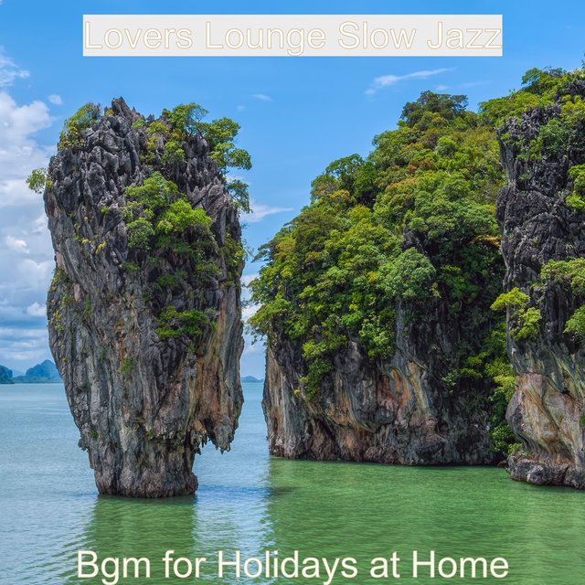 Bgm for Holidays at Home