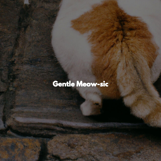 Gentle Meow-sic