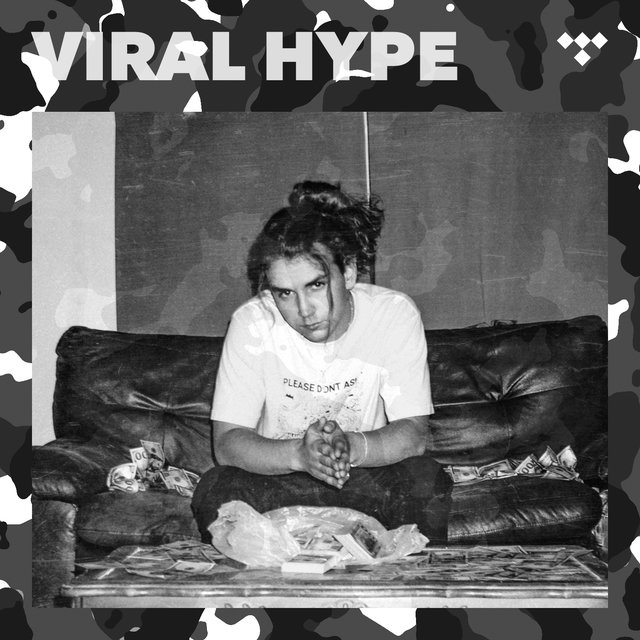 Cover art for album Viral Hype by TIDAL