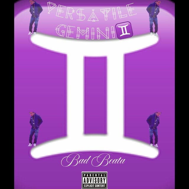 Versatile Gemini