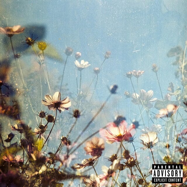 My Flowers