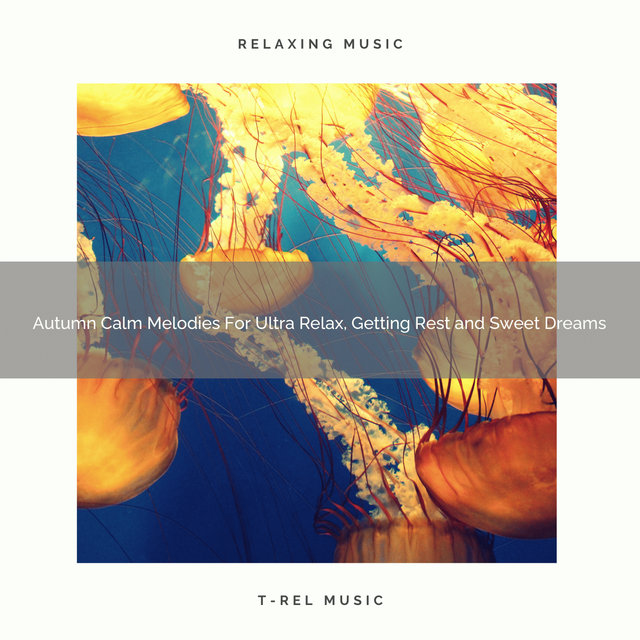 Autumn Calm Melodies For Ultra Relax, Getting Rest and Sweet Dreams
