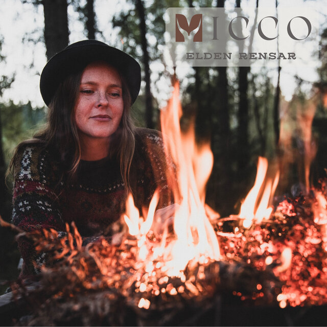 Cover art for album  by Micco