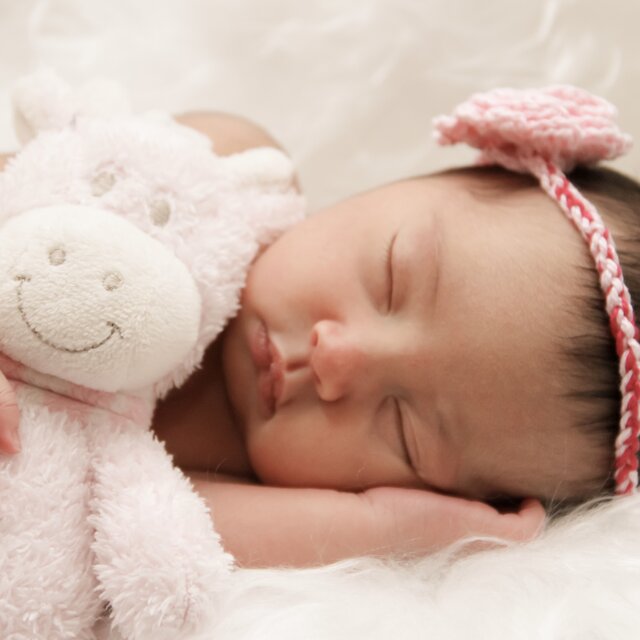 Sleep Elephant