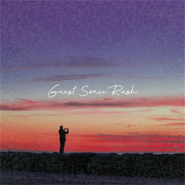 Sounemot State 041 (Guest Sonic Rush)
