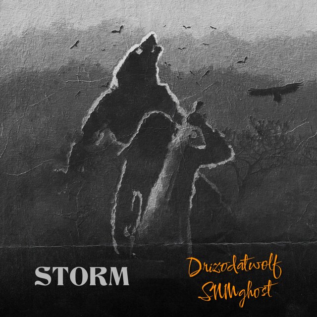 Storm