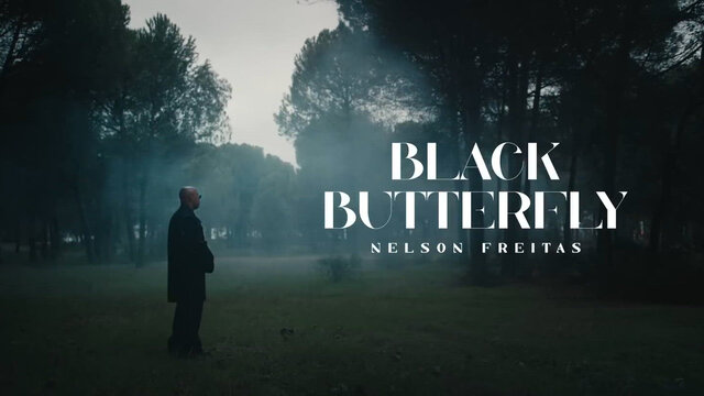 Black Butterfly