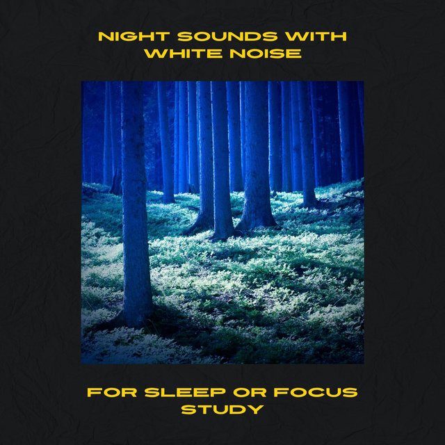 Night Sounds with White Noise for Sleep or Focus Study, Loopable