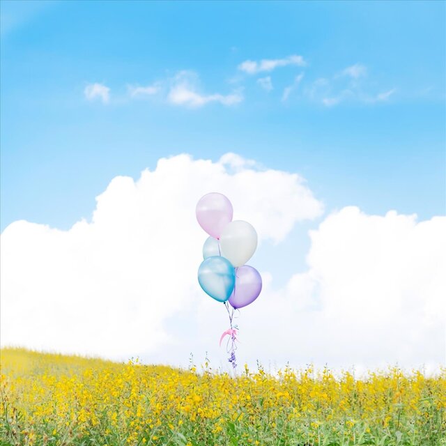 Sweet Dreamer