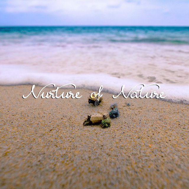 Sounds of Ocean
