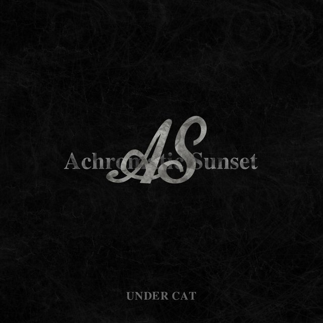 Under Cat