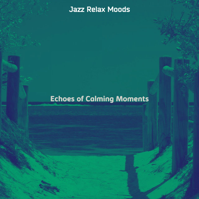 Echoes of Calming Moments