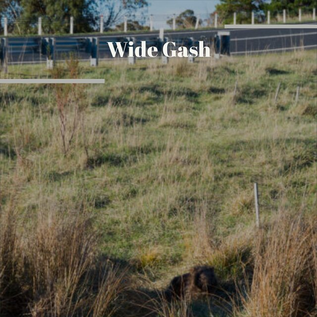 Wide Gash