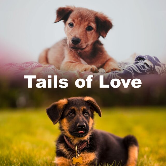 Tails of Love