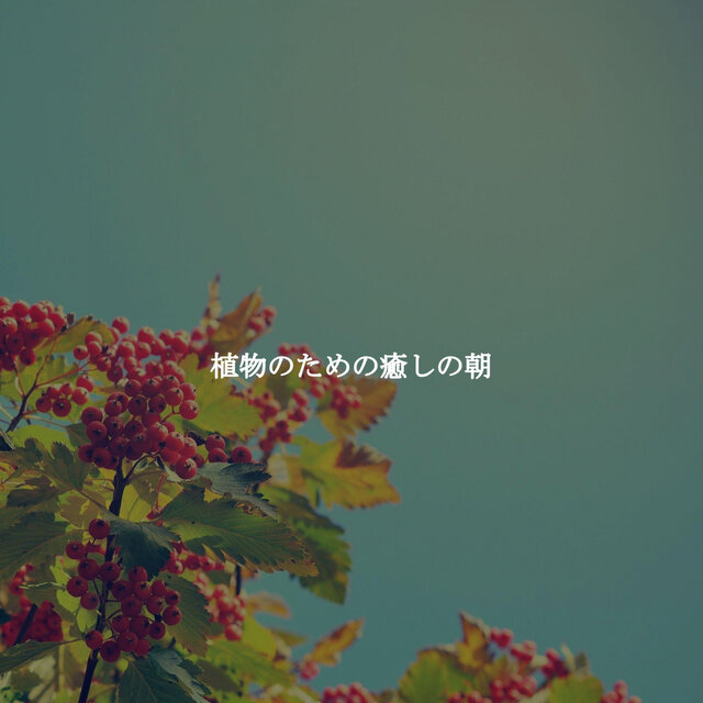 植物のための癒しの朝