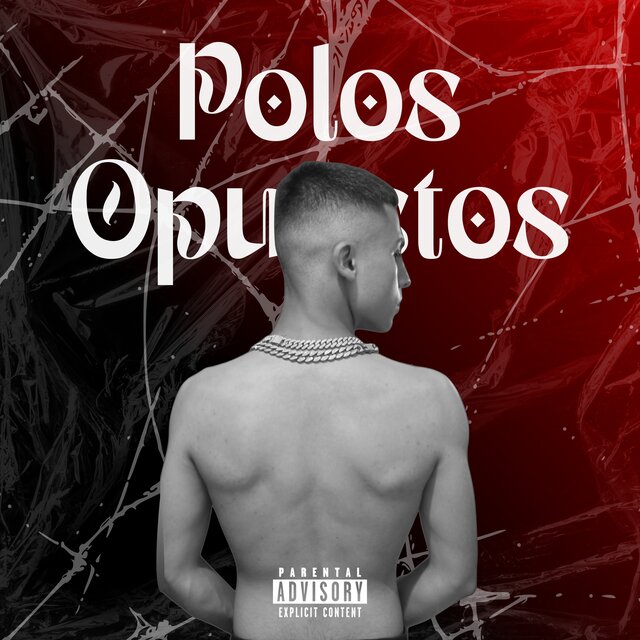 POLOS OPUESTOS