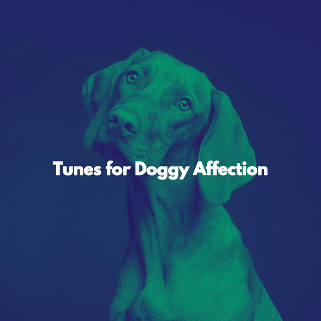 Tunes for Doggy Affection