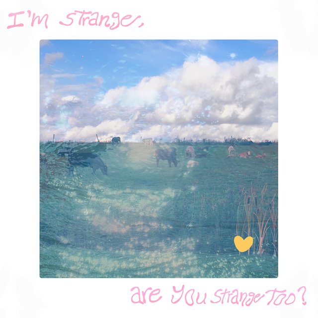I’m Strange, Are You Strange Too?