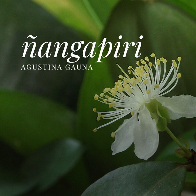 Ñangapiri