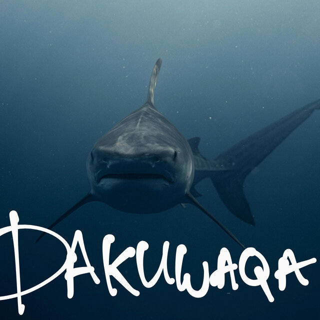 Dakuwaqa (feat. Bless Picasso & Daniel Son)