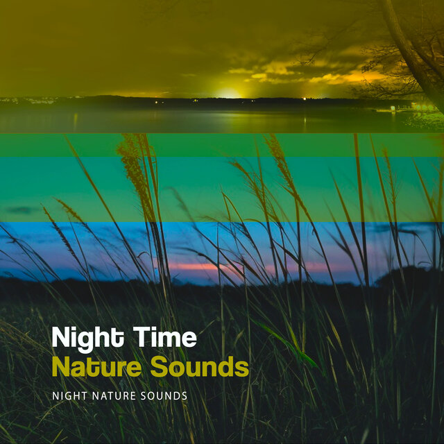 Night Time Nature Sounds