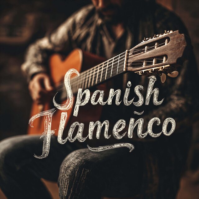 Top Guitar Spanish Flamenco