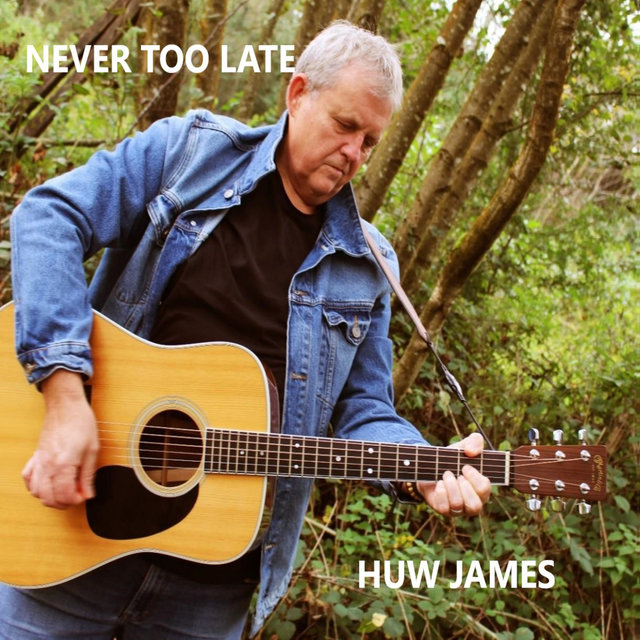 Never Too Late