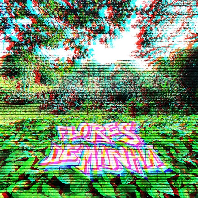 Flores de Manhã